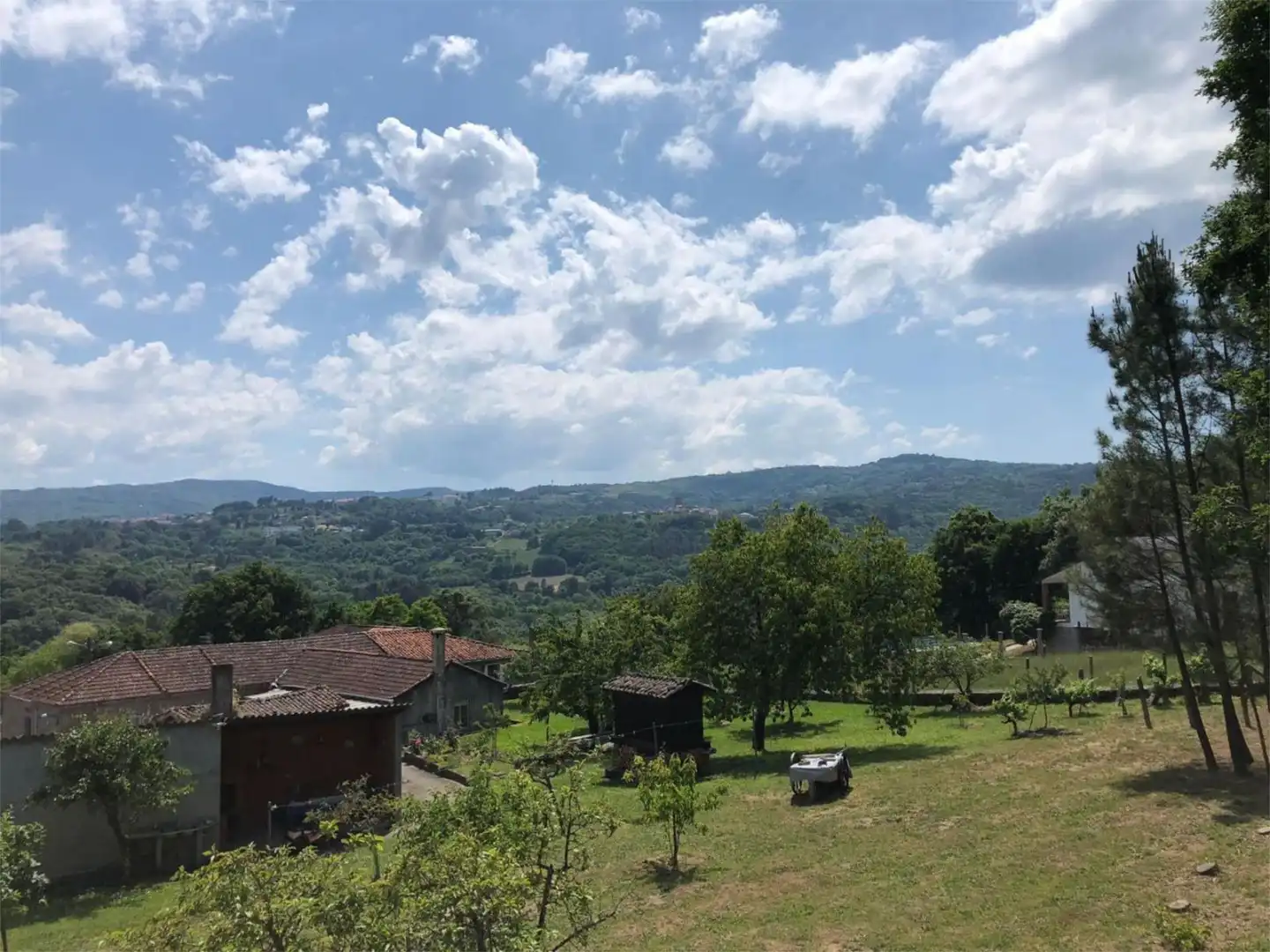 Jardí de Urbanitzable en venda en Celanova