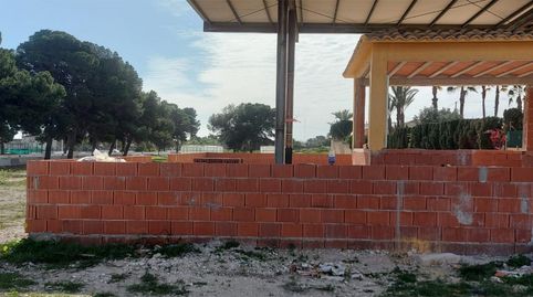 Photo 5 of Premises for transfer in N-332a, 6, La Marina, Elche / Elx