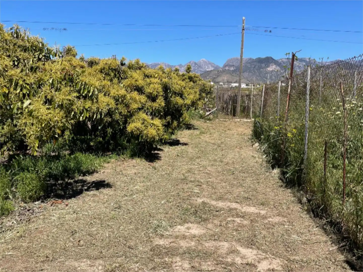 Nicht bebaubares Gelände zum Verkauf in Carretera Nacional N-340, 1, Avda Pescia - Ctra de Frigiliana Garten von Nicht bebaubares Gelände zum Verkauf in Nerja