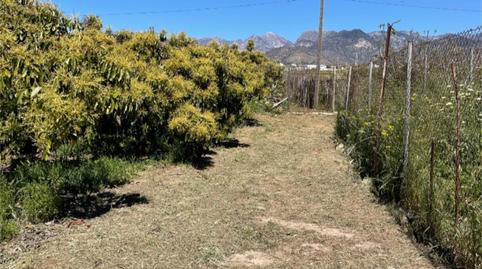 Photo 2 of Non-constructible Land for sale in Carretera Nacional N-340, 1, Avda Pescia - Ctra de Frigiliana, Málaga