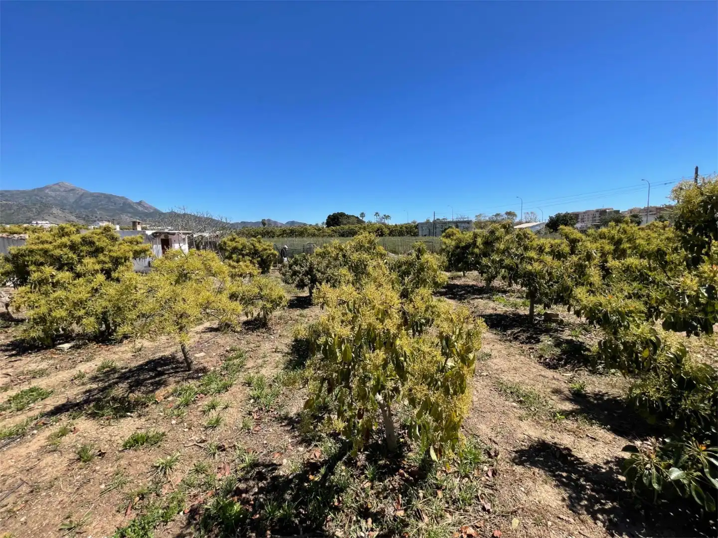 Nicht bebaubares Gelände zum Verkauf in Carretera Nacional N-340, 1, Avda Pescia - Ctra de Frigiliana Nicht bebaubares Gelände zum Verkauf in Nerja