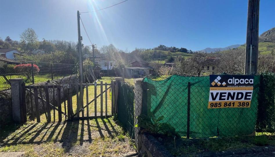 Foto 1 de Urbanitzable en venda a Calle Castañera, 40, Parres, Asturias