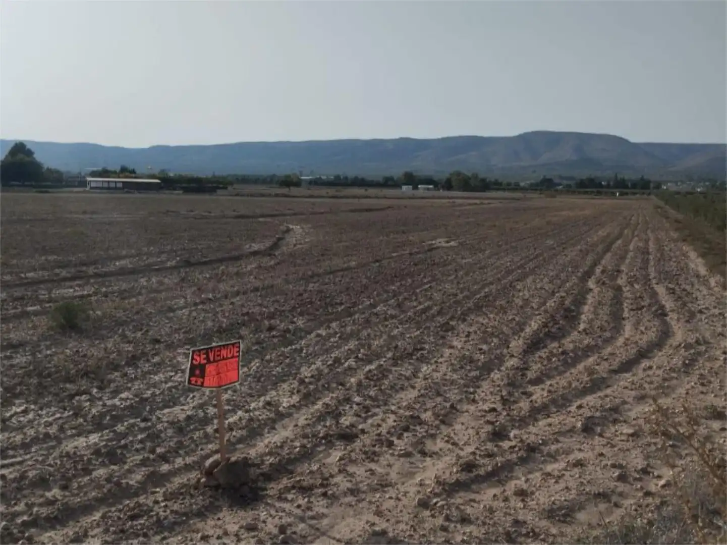 No Urbanizable en venta en Avinguda de Biar, 8, Biar No Urbanizable en venta en Biar