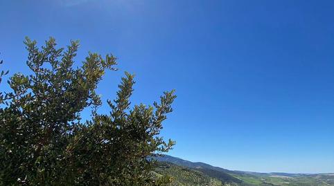 Apartment for sale in Calle Calvario, 12, Zahara, Cádiz - image 2 Photo 2 of Apartment for sale in Calle Calvario, 12, Zahara, Cádiz