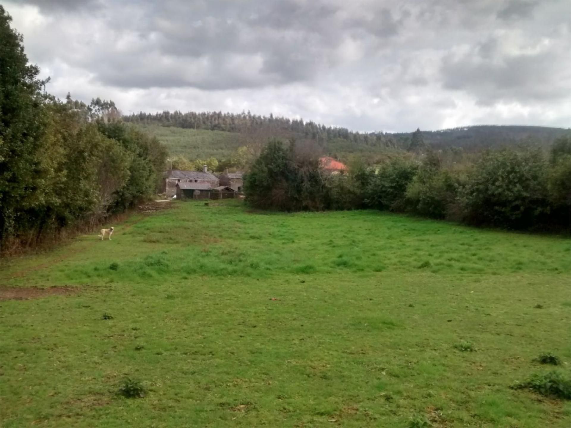 Land for sale in As Somozas 