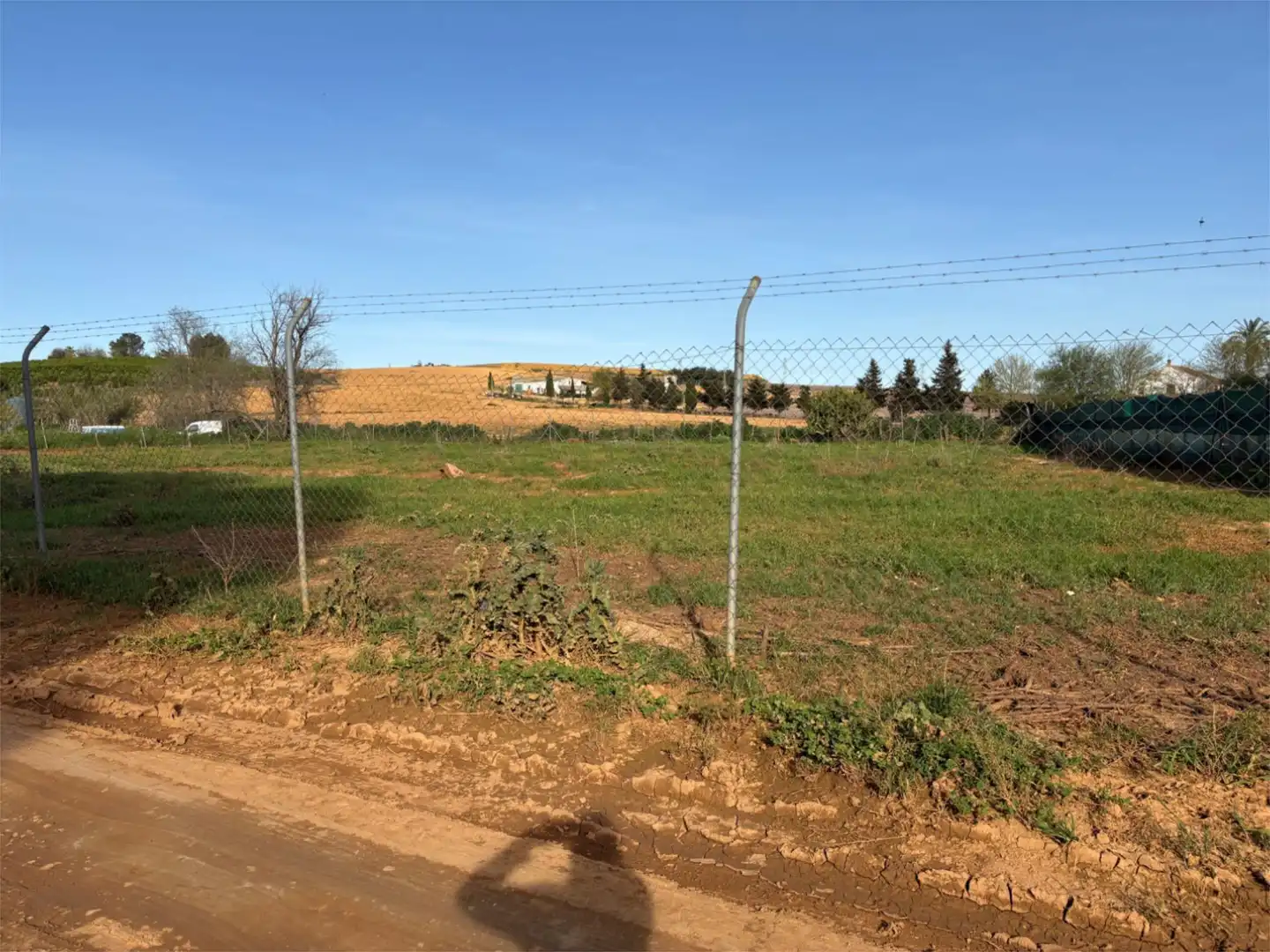 Finca rústica en venda a Calle Morera, 224, Carmona Finca rústica en venda en Carmona