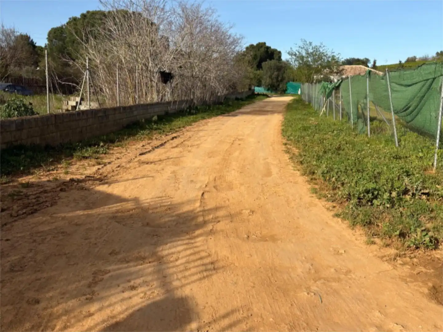 Finca rústica en venda a Calle Morera, 224, Carmona Vista exterior de Finca rústica en venda en Carmona
