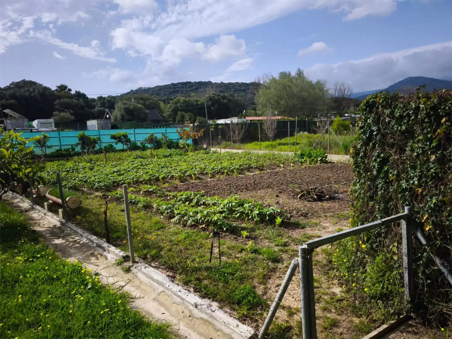 Country homes for sale in Los Barrios