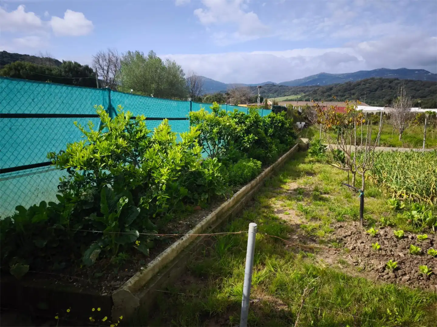 Garden of Country homes for sale in Los Barrios