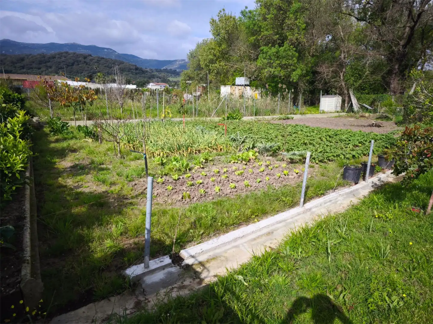 Garden of Country homes for sale in Los Barrios