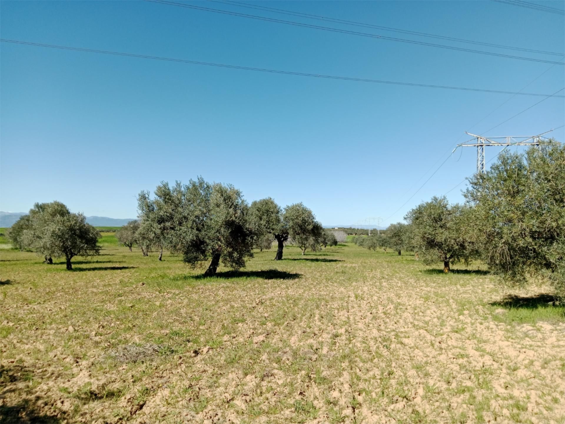 No Urbanitzable en venda en Santa Olalla