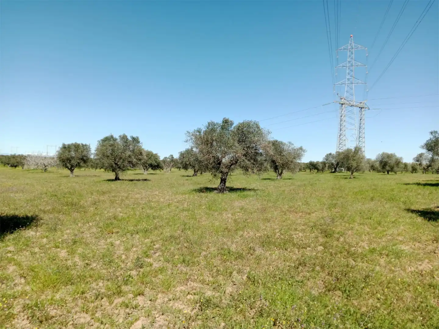 No Urbanizable en venta en Santa Olalla