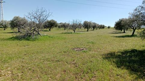 Photo 3 of Non-constructible Land for sale in Camino Noves, 8, Santa Olalla, Toledo