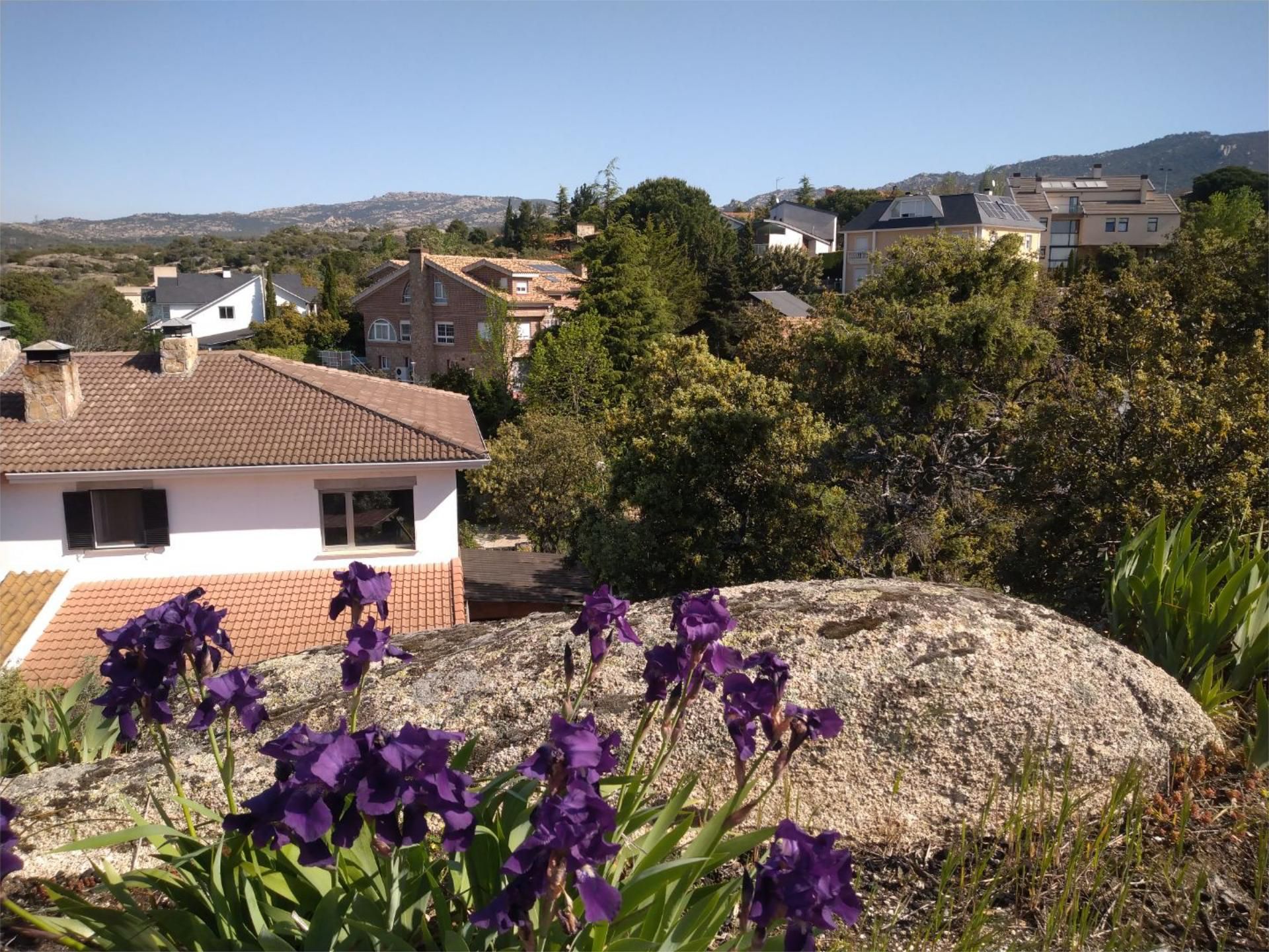 Vista exterior de Pis en venda en Hoyo de Manzanares amb Calefacció, Jardí privat i Parquet
