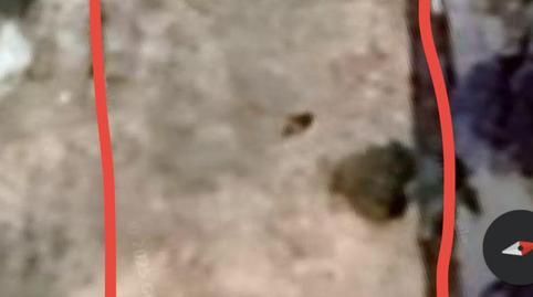 Country house for sale in Extrarradio Diseminados, 15, Santovenia de Pisuerga, Valladolid - image 2 Photo 2 of Country house for sale in Extrarradio Diseminados, 15, Santovenia de Pisuerga, Valladolid