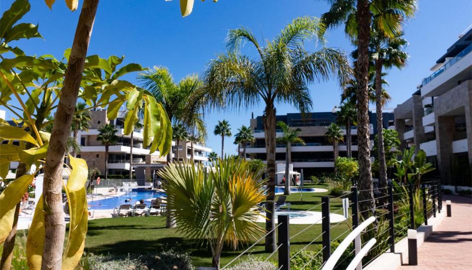 Flat for sale in Calle Pablo Picasso, 3, Playa Flamenca, Alicante - image 1 Photo 1 of Flat for sale in Calle Pablo Picasso, 3, Playa Flamenca, Alicante