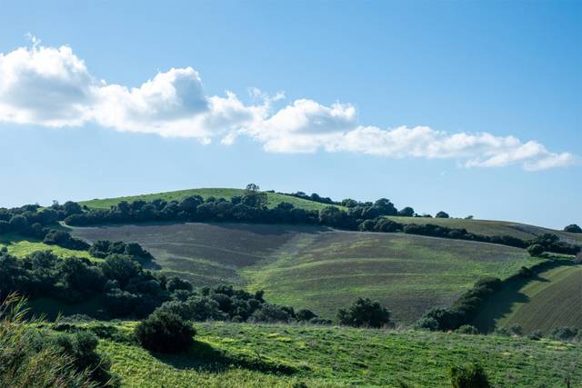 Terreno en Venta en Caril Arroyo de Catelina Pérez, s/n en Vejer