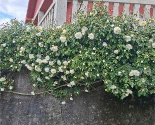 Garden of House or chalet to rent in Pontevedra Capital   with Private garden, Terrace and Storage room