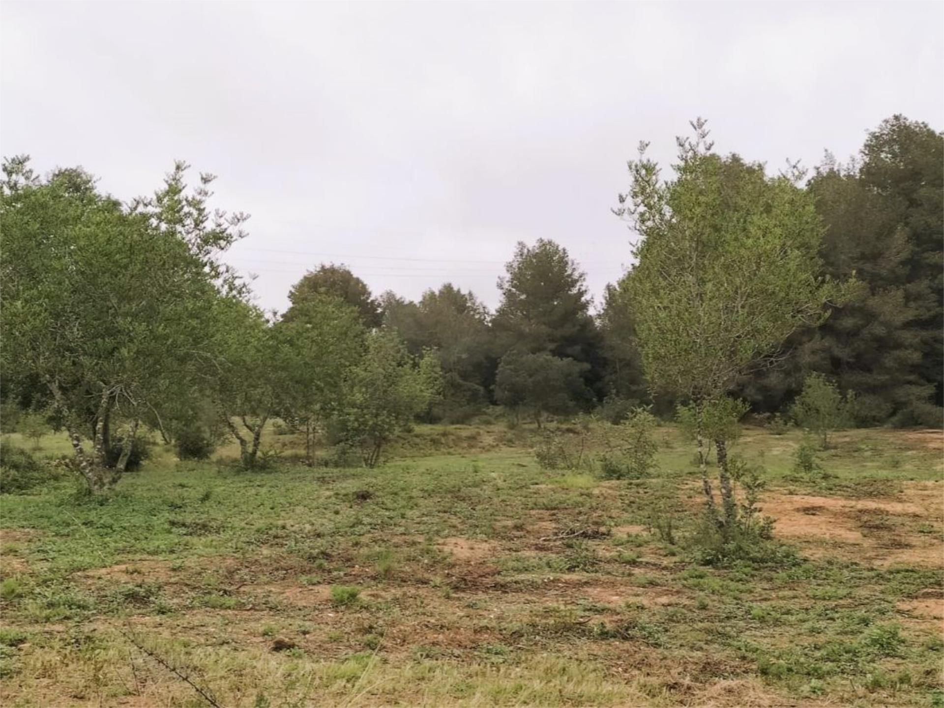 No Urbanitzable en venda en Maspujols