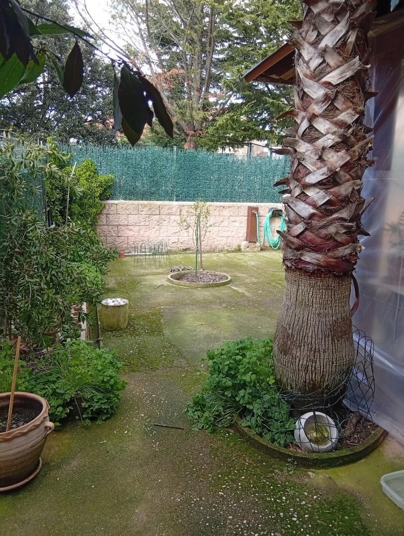 Jardí de Casa o xalet en venda en Colmenarejo amb Aire condicionat, Calefacció i Jardí privat