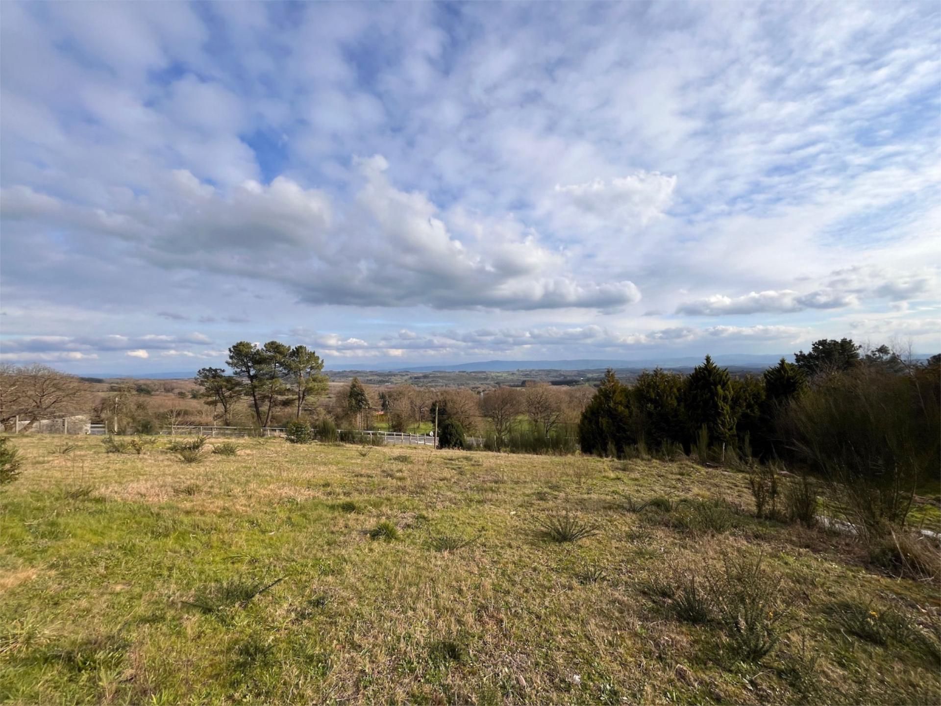 Land for sale in Guntín
