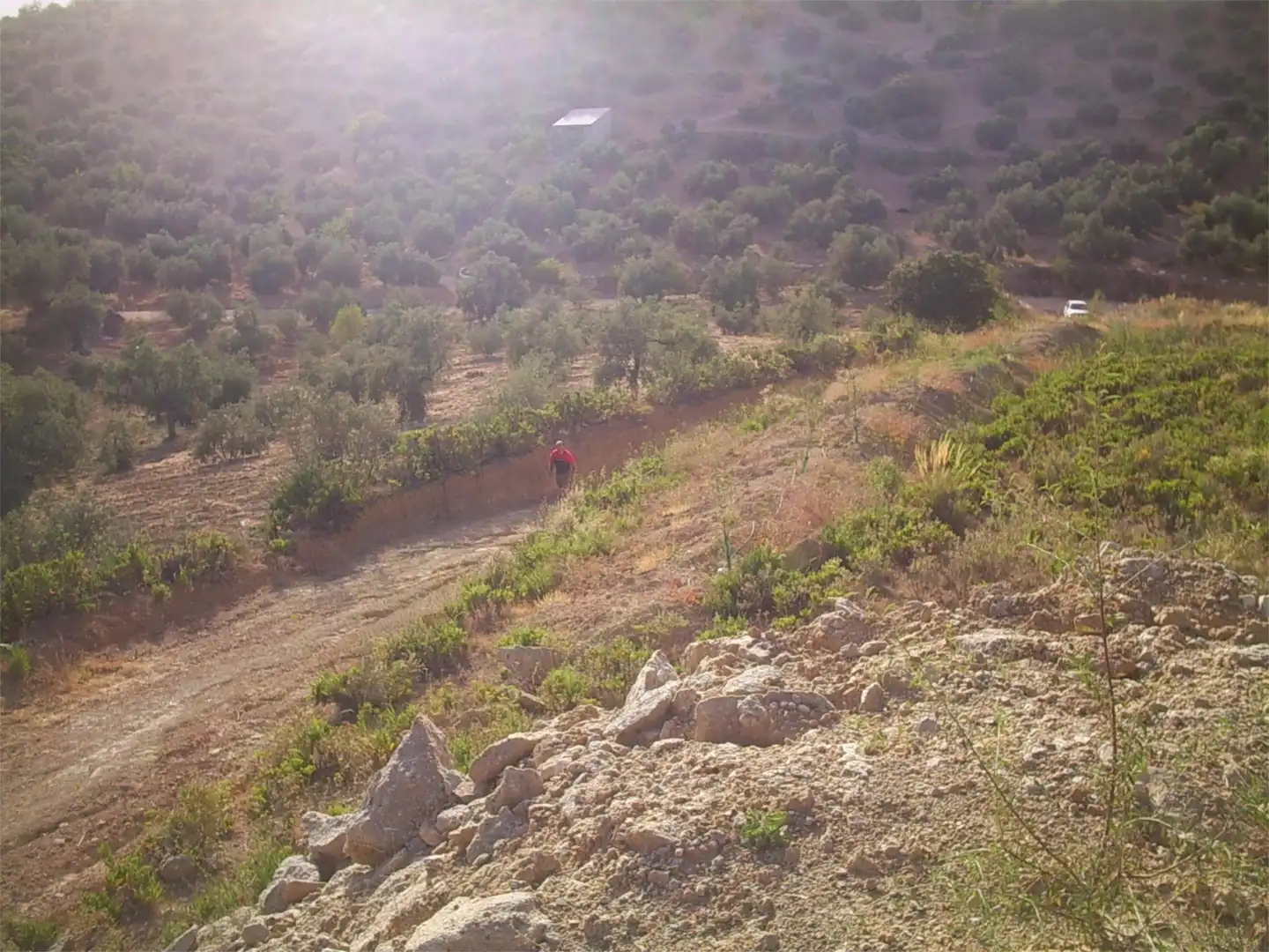 Finca rústica en venta en Archidona