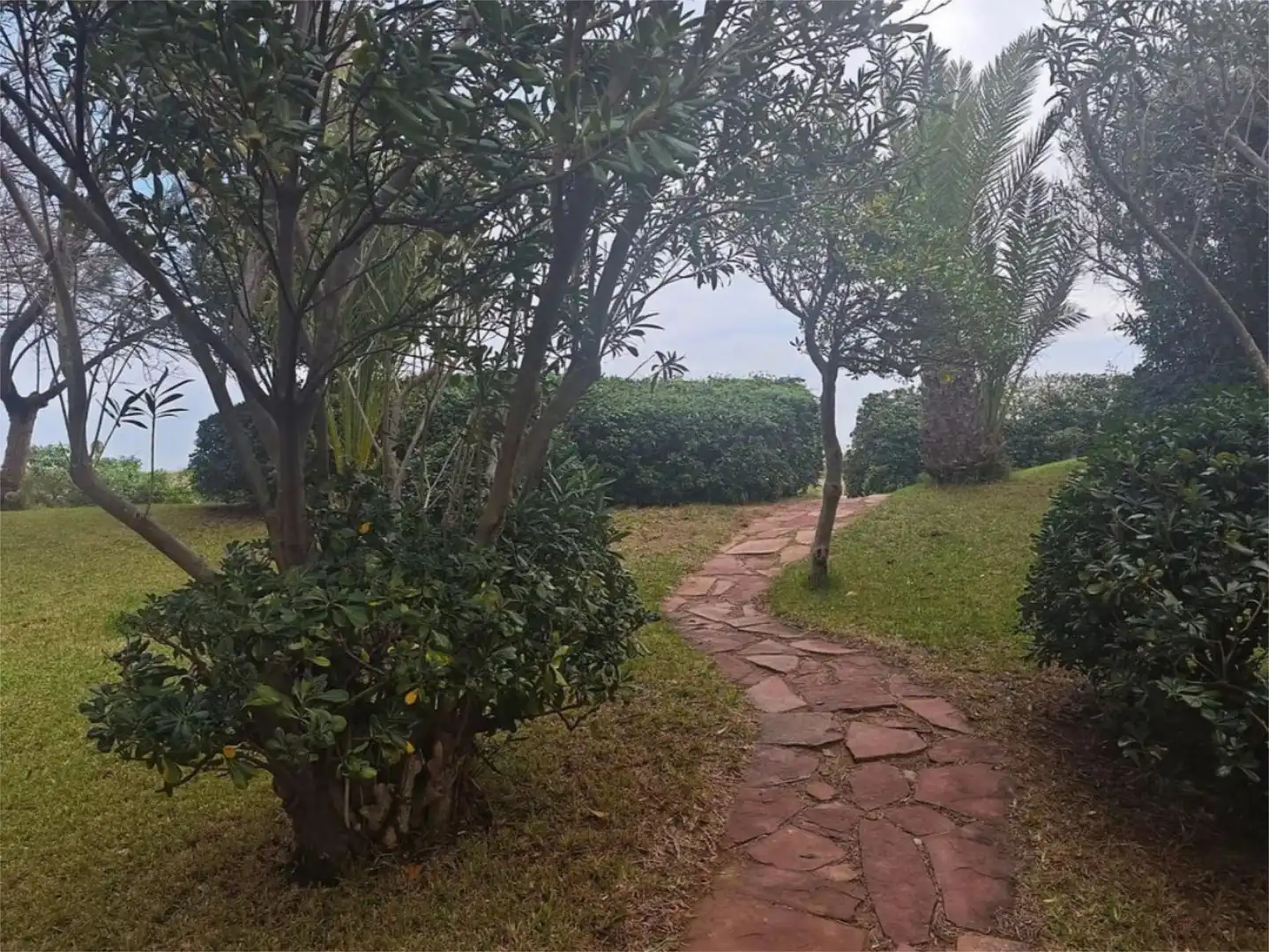 Jardí de Pis de lloguer en Valencia amb Aire condicionat, Calefacció i Parquet