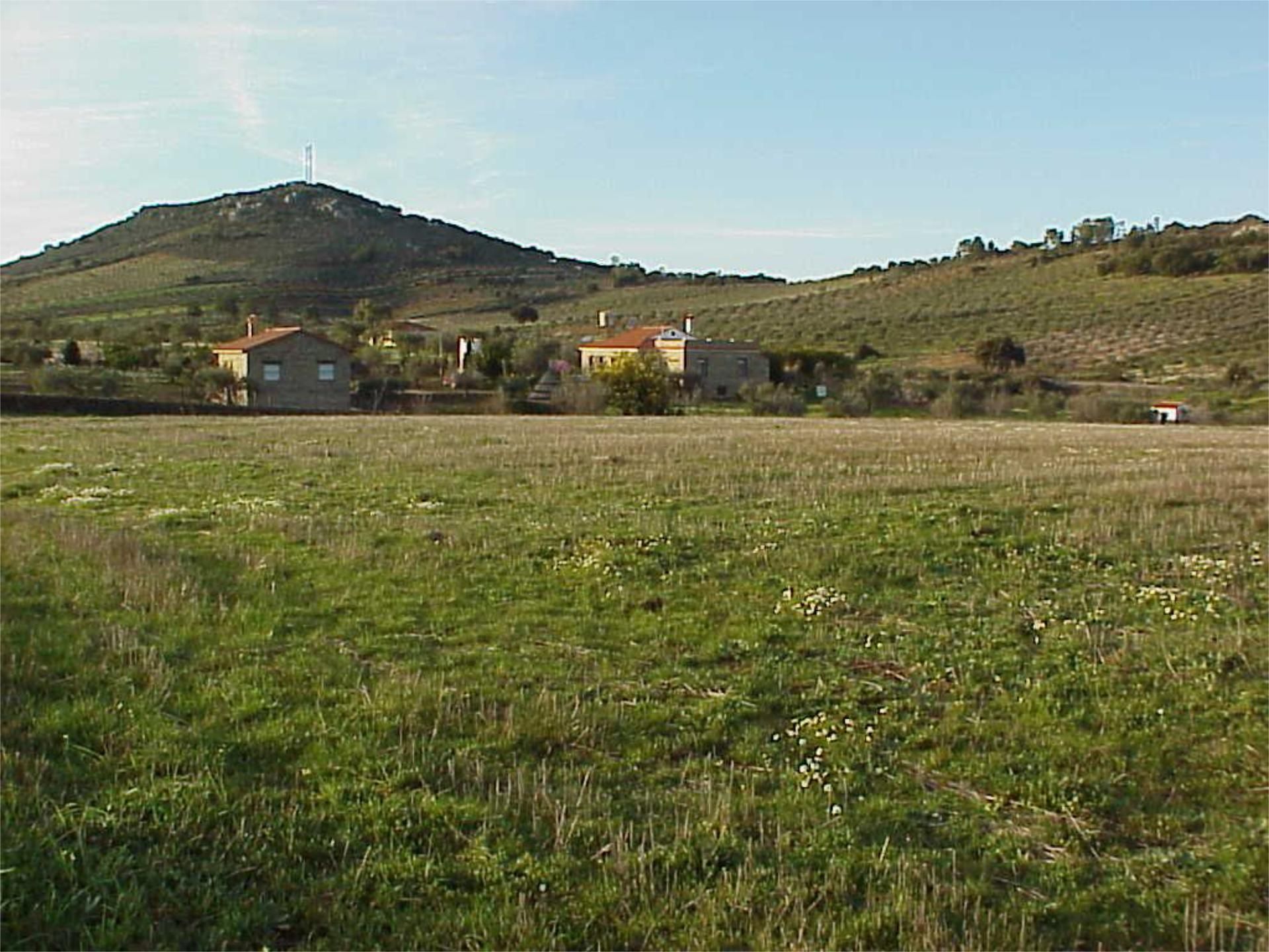 House or chalet for sale in Puebla de Obando  with Terrace, Swimming Pool and Balcony
