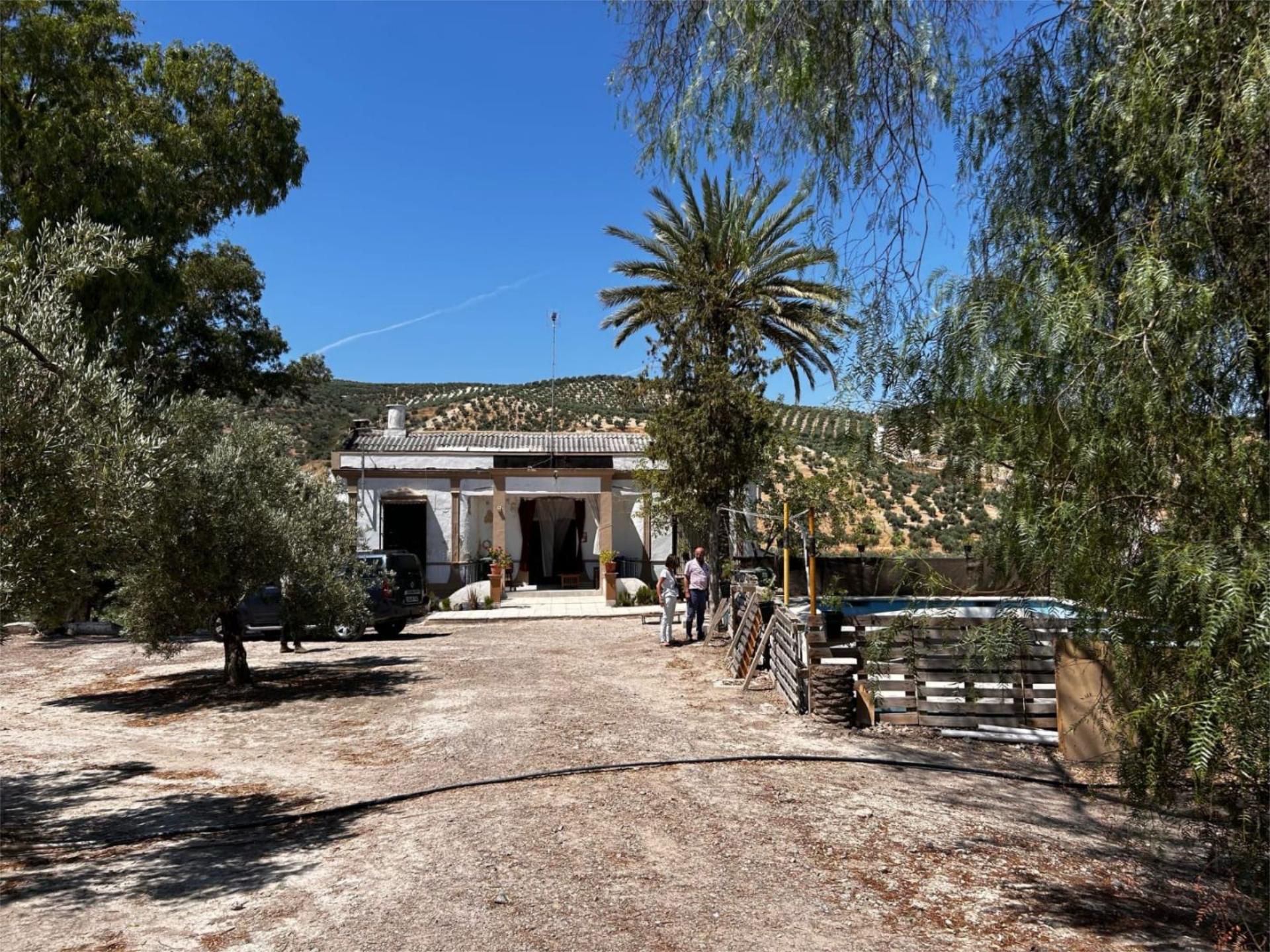 Exterior view of Country house for sale in Baena  with Private garden, Terrace and Swimming Pool