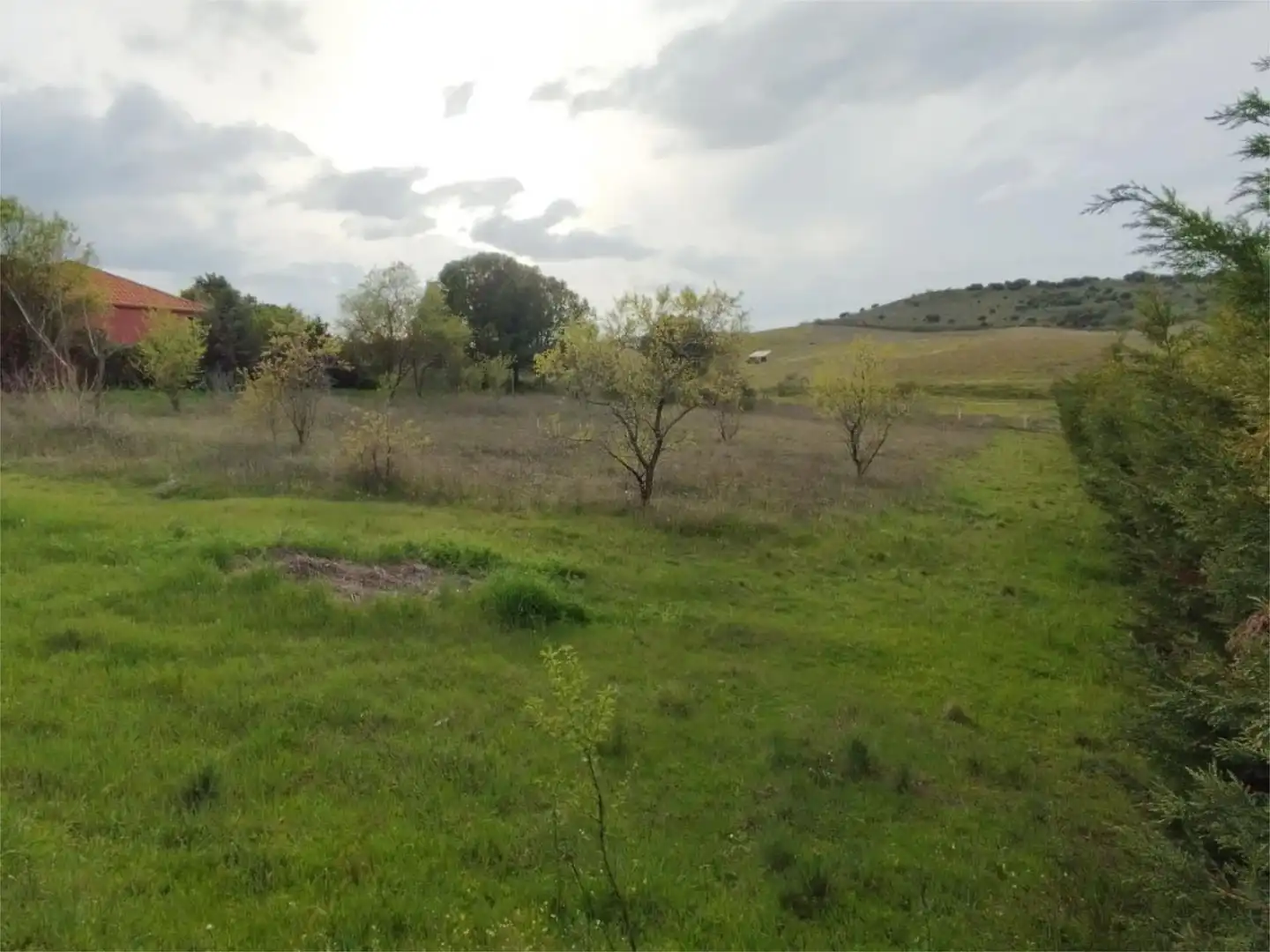 Residencial en venta en Ribatejada