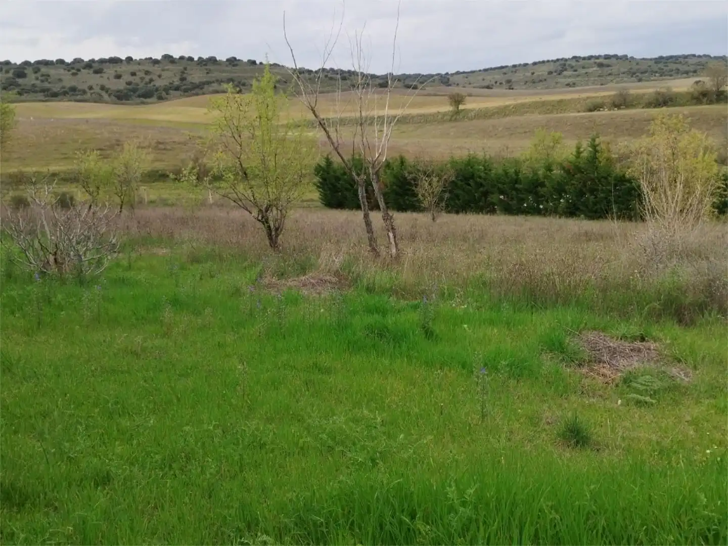 Residencial en venta en Ribatejada