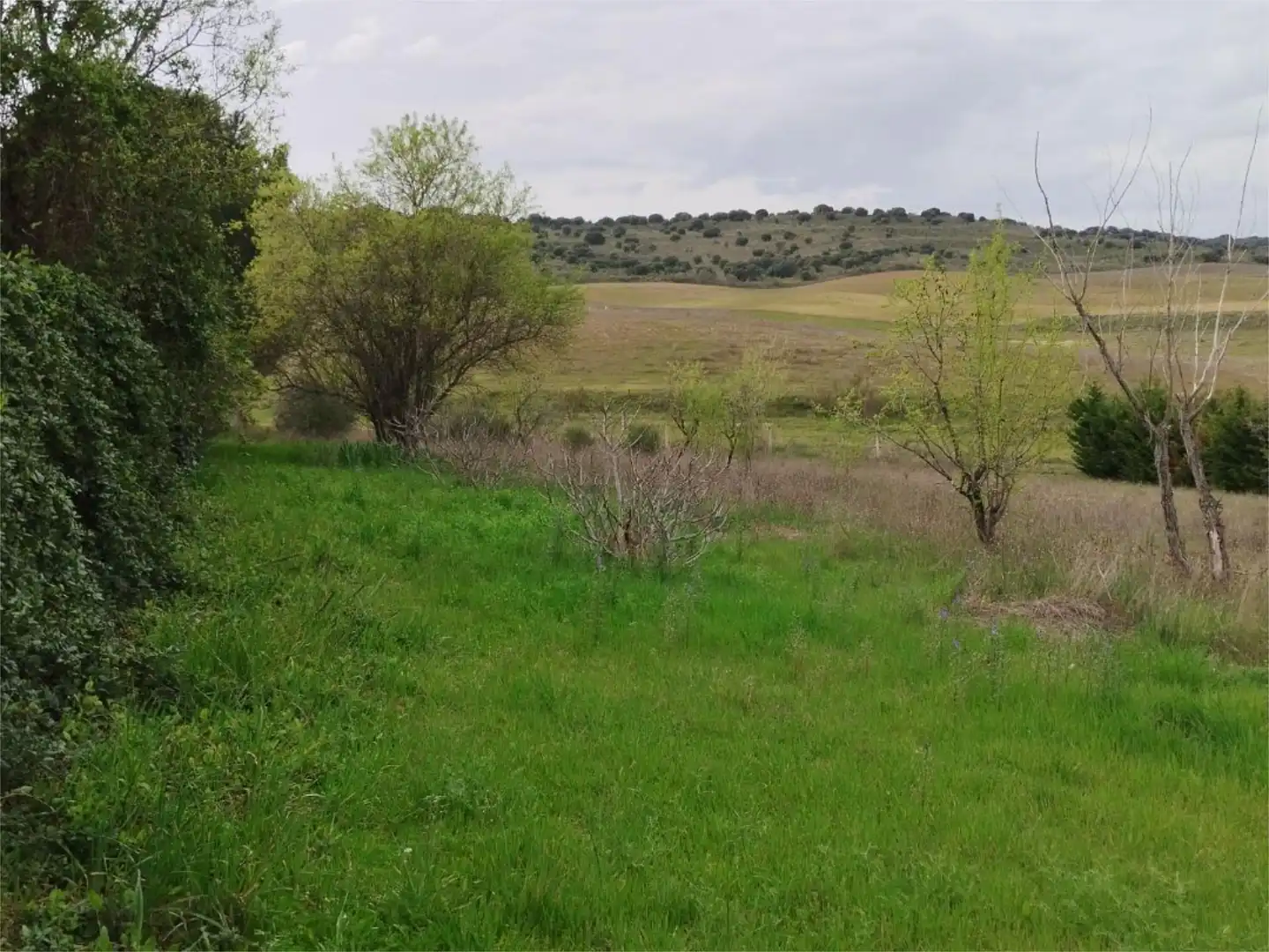 Residencial en venta en Ribatejada