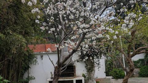 Photo 4 of Flat to share in Avinguda de Bellamar, 27, Bellamar, Barcelona