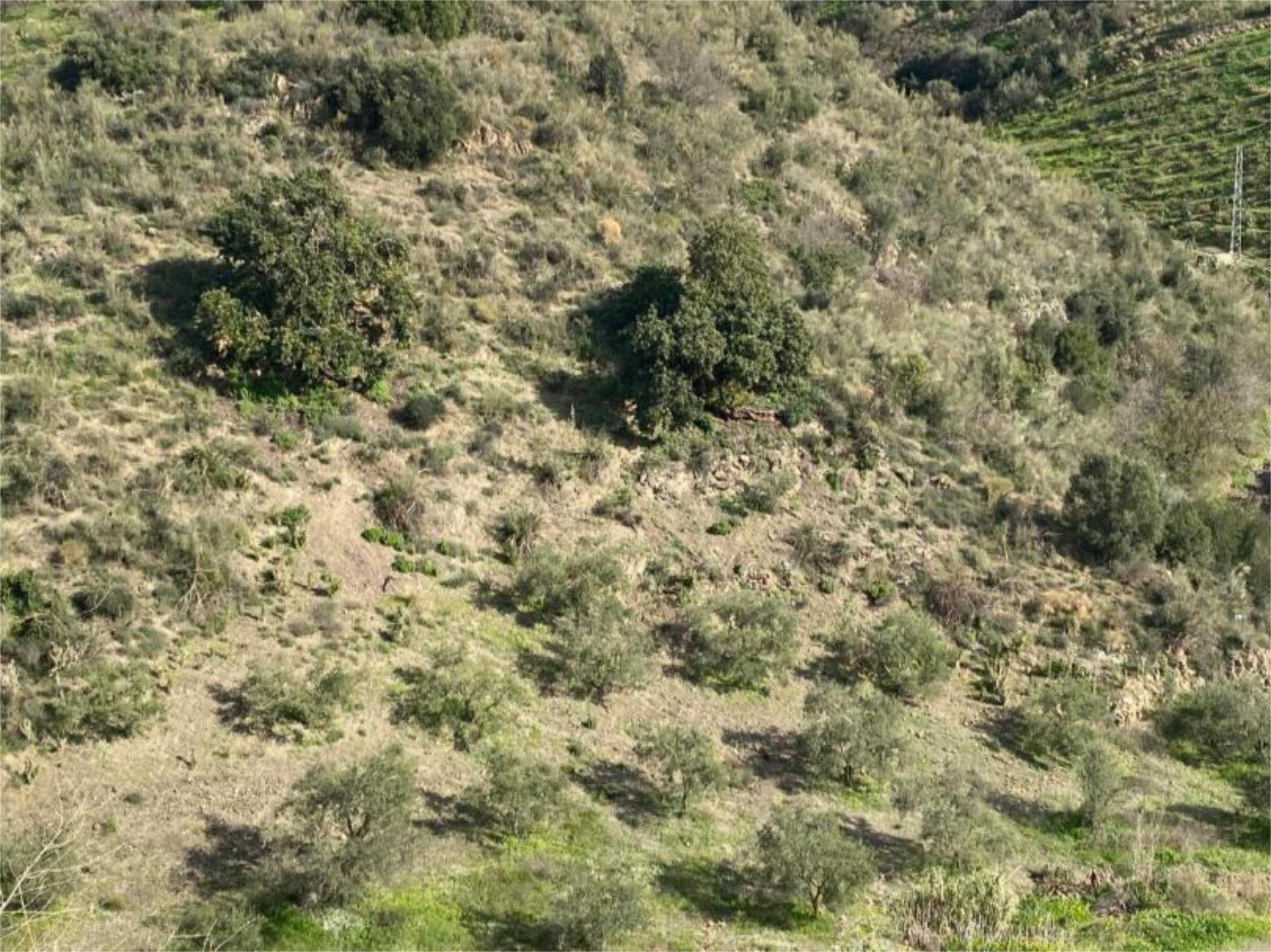 Land for sale in Rincón de la Victoria