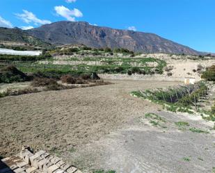 Land for sale in Huécija