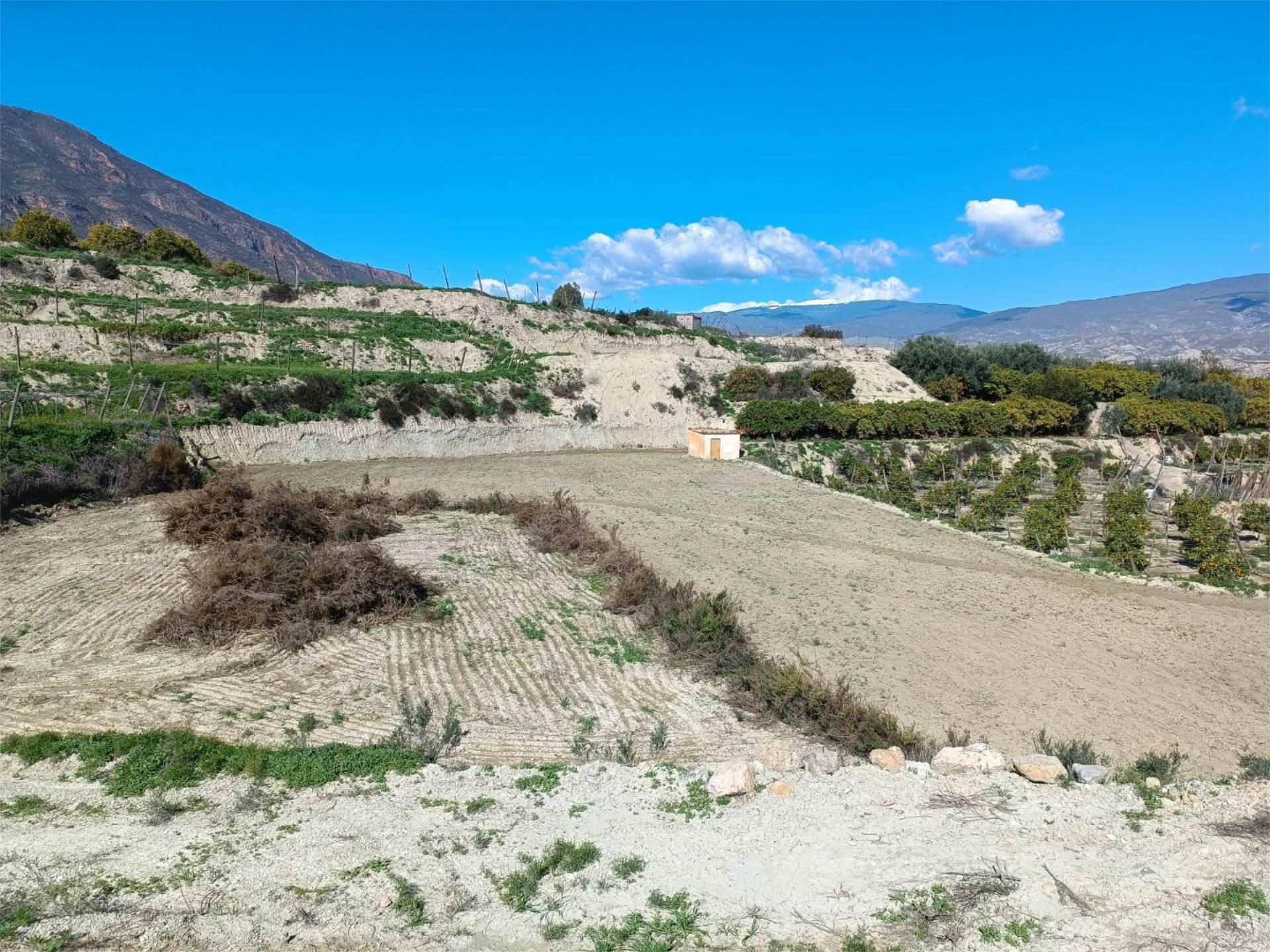 Land for sale in Huécija