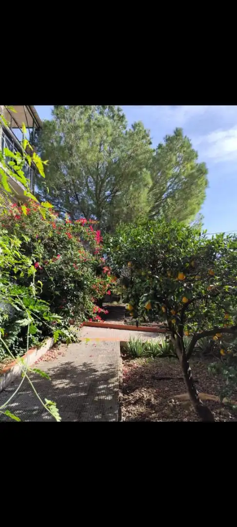 Jardí de Casa o xalet en venda en Alcalá de Guadaira amb Aire condicionat