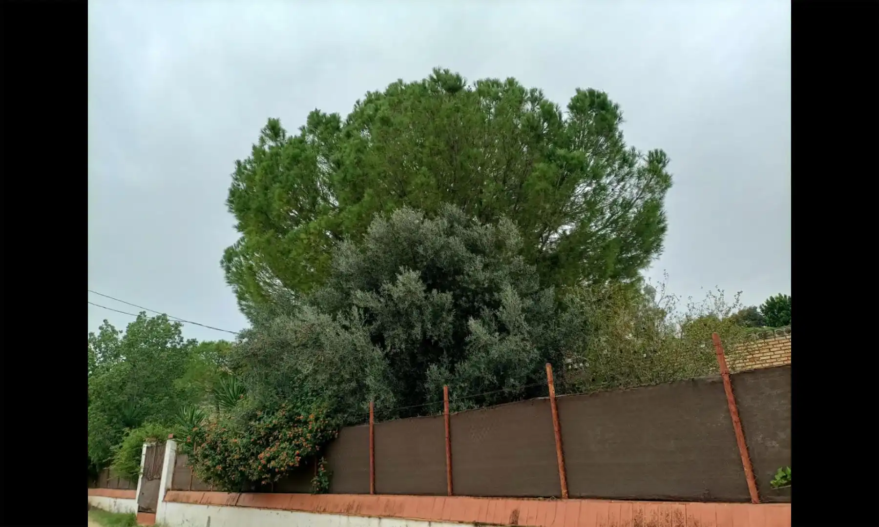 Jardí de Casa o xalet en venda en Alcalá de Guadaira amb Aire condicionat