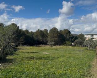 Land for sale in Sant Pere de Ribes