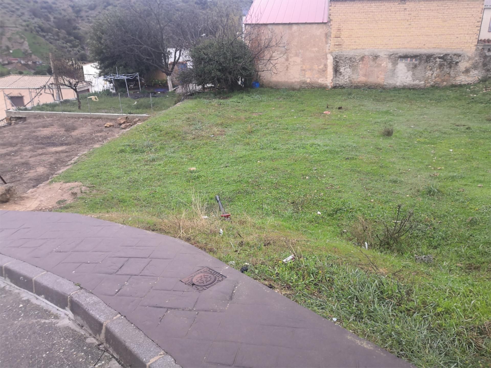 Constructible Land for sale in Frailes