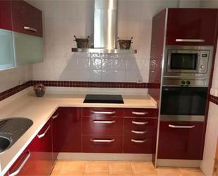 House or chalet to rent in Pozoalbero