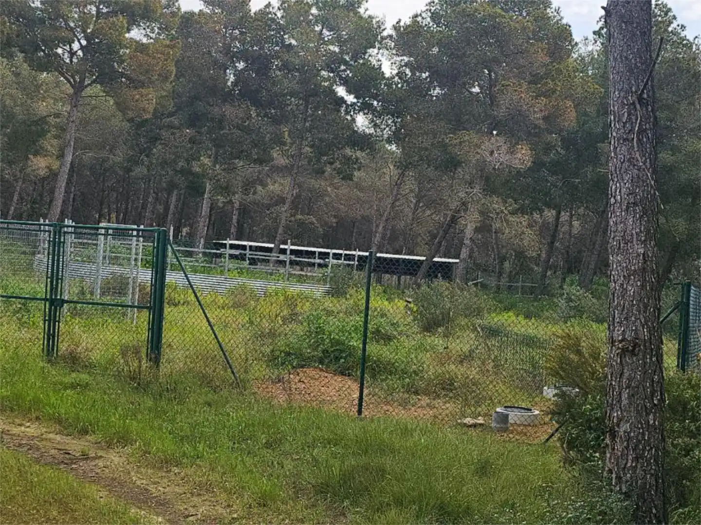 Non-constructible Land for sale in Carrer Hostalric, 27, Cabra del Camp Non-constructible Land for sale in Cabra del Camp