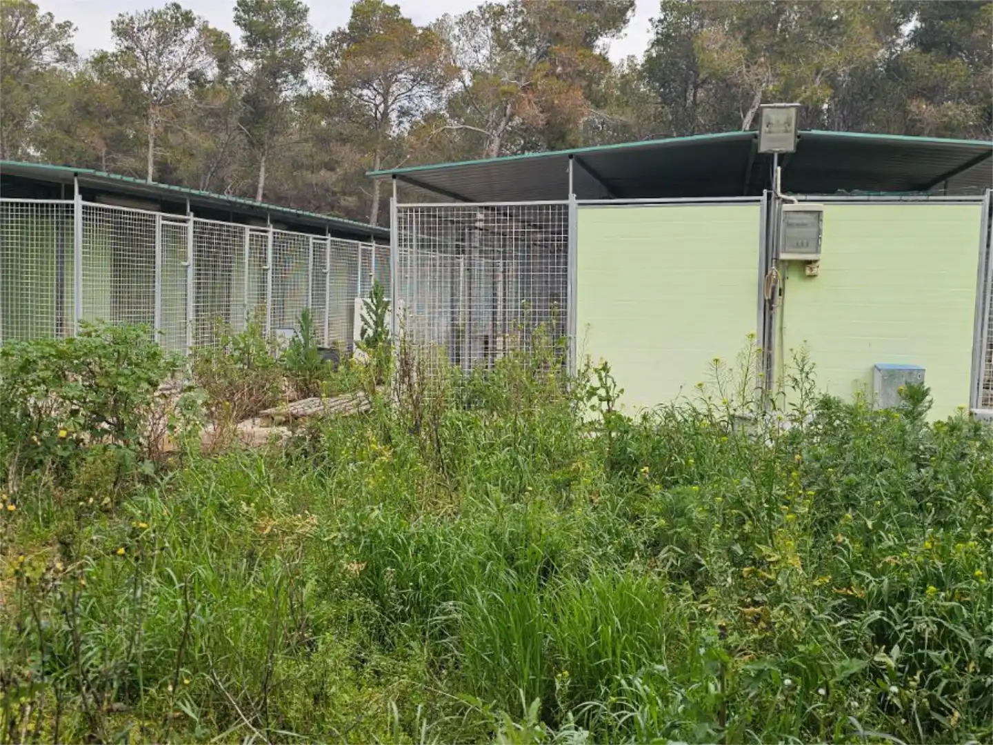 Non-constructible Land for sale in Carrer Hostalric, 27, Cabra del Camp Garden of Non-constructible Land for sale in Cabra del Camp