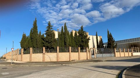 Foto 2 de Oficina de alquiler en Avenida de la Comunidad Valenciana, 16, Campo de Criptana, Ciudad Real