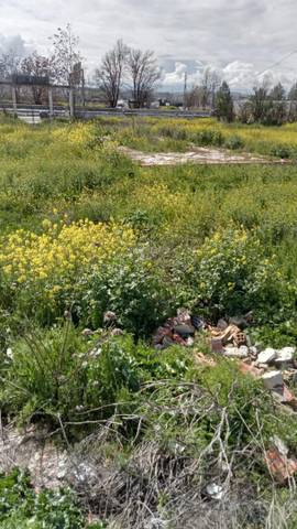 Finca rústica en Venta en Calle Bernard Vicent, 51 en Santa Fe