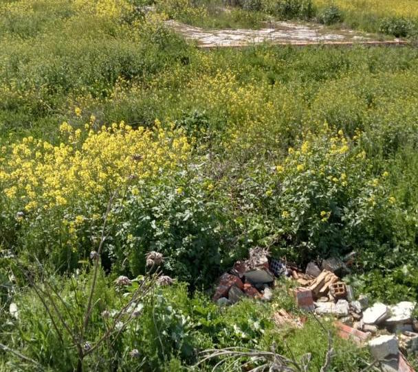 Finca rústica de lloguer a Calle Bernard Vicent, 51, Santa Fe, Granada - imatge 1 Foto 1 de Finca rústica de lloguer a Calle Bernard Vicent, 51, Santa Fe, Granada