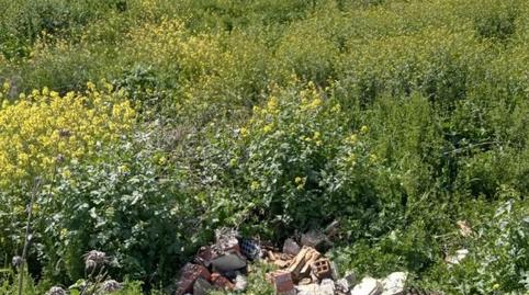 Finca rústica de lloguer a Calle Bernard Vicent, 51, Santa Fe, Granada - imatge 3 Foto 3 de Finca rústica de lloguer a Calle Bernard Vicent, 51, Santa Fe, Granada