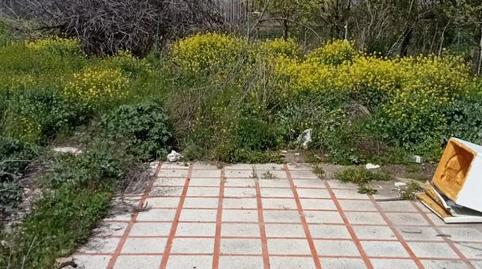 Finca rústica de lloguer a Calle Bernard Vicent, 51, Santa Fe, Granada - imatge 5 Foto 5 de Finca rústica de lloguer a Calle Bernard Vicent, 51, Santa Fe, Granada