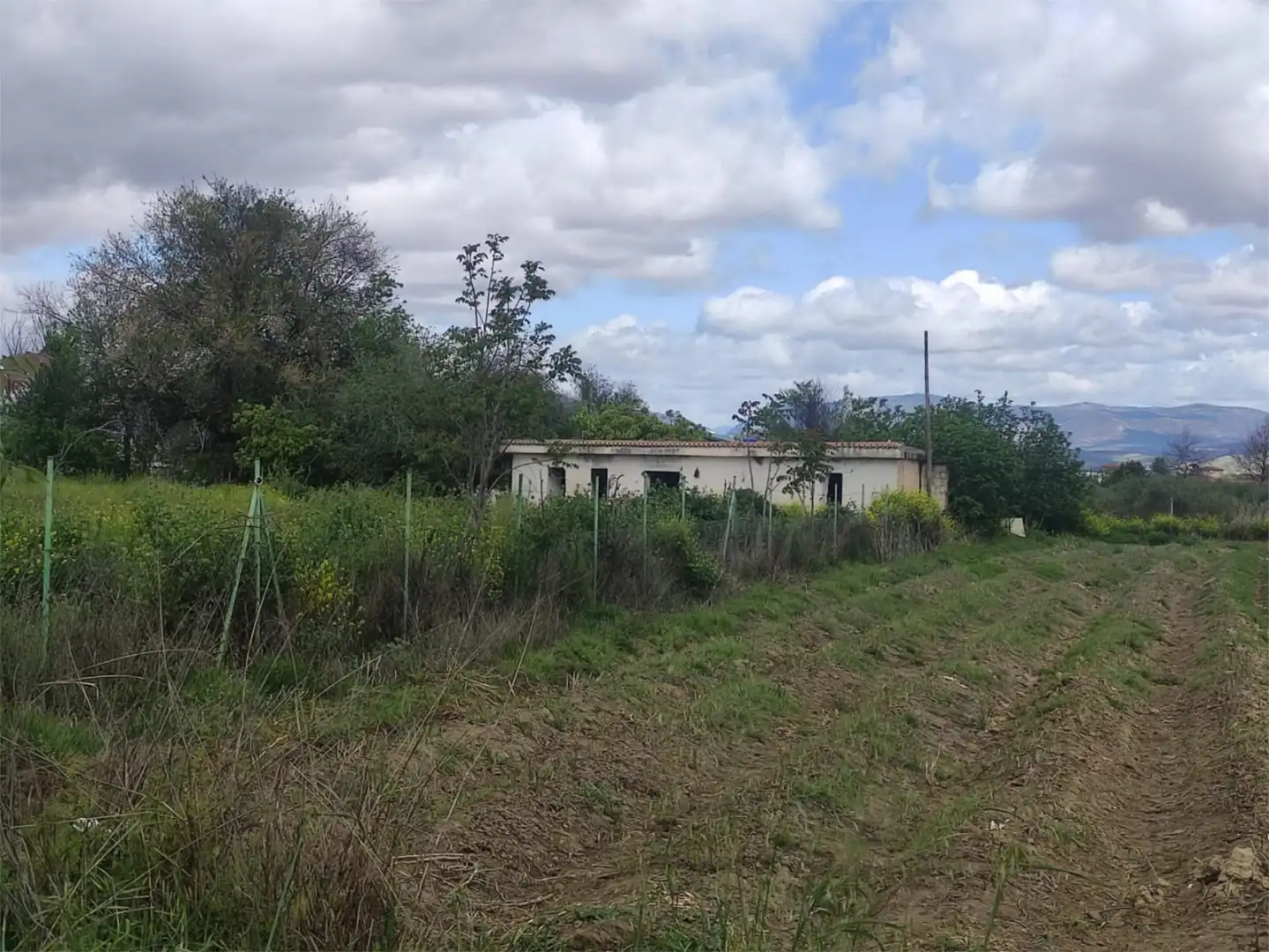 Country homes for sale in Calle Bernard Vicent, 51, Santa Fe Country homes for sale in Calle Bernard Vicent, 51, Santa Fe
