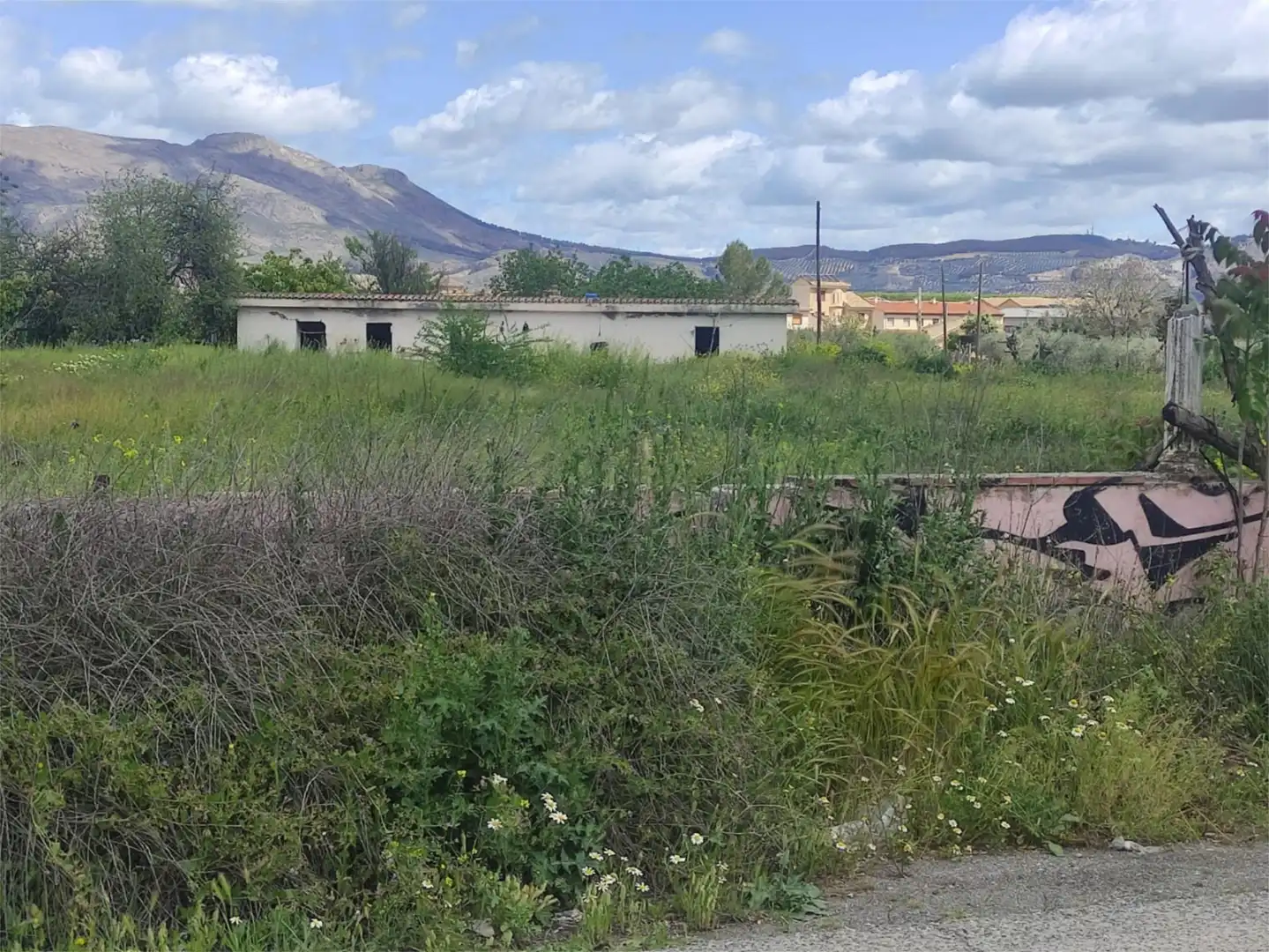 Country homes for sale in Calle Bernard Vicent, 51, Santa Fe Country homes for sale in Calle Bernard Vicent, 51, Santa Fe